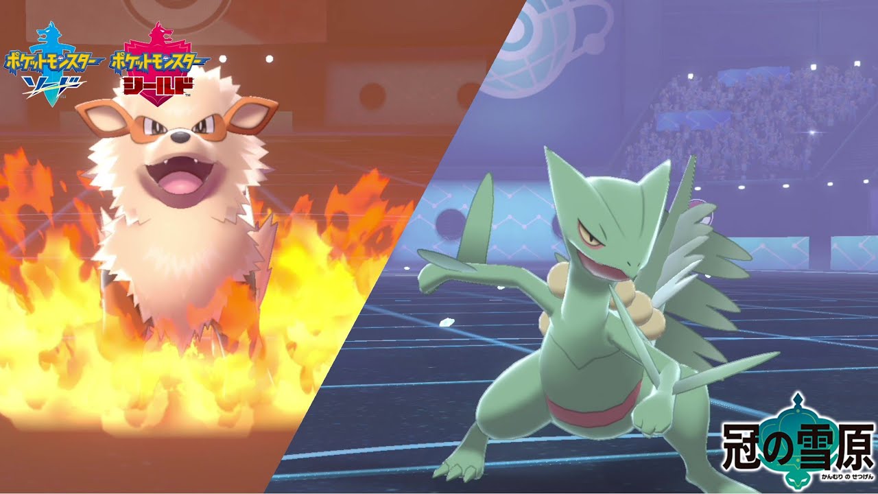 ジュカイン最強への道 -物理型弱点保険ジュカインの極意-【ポケモン剣盾】