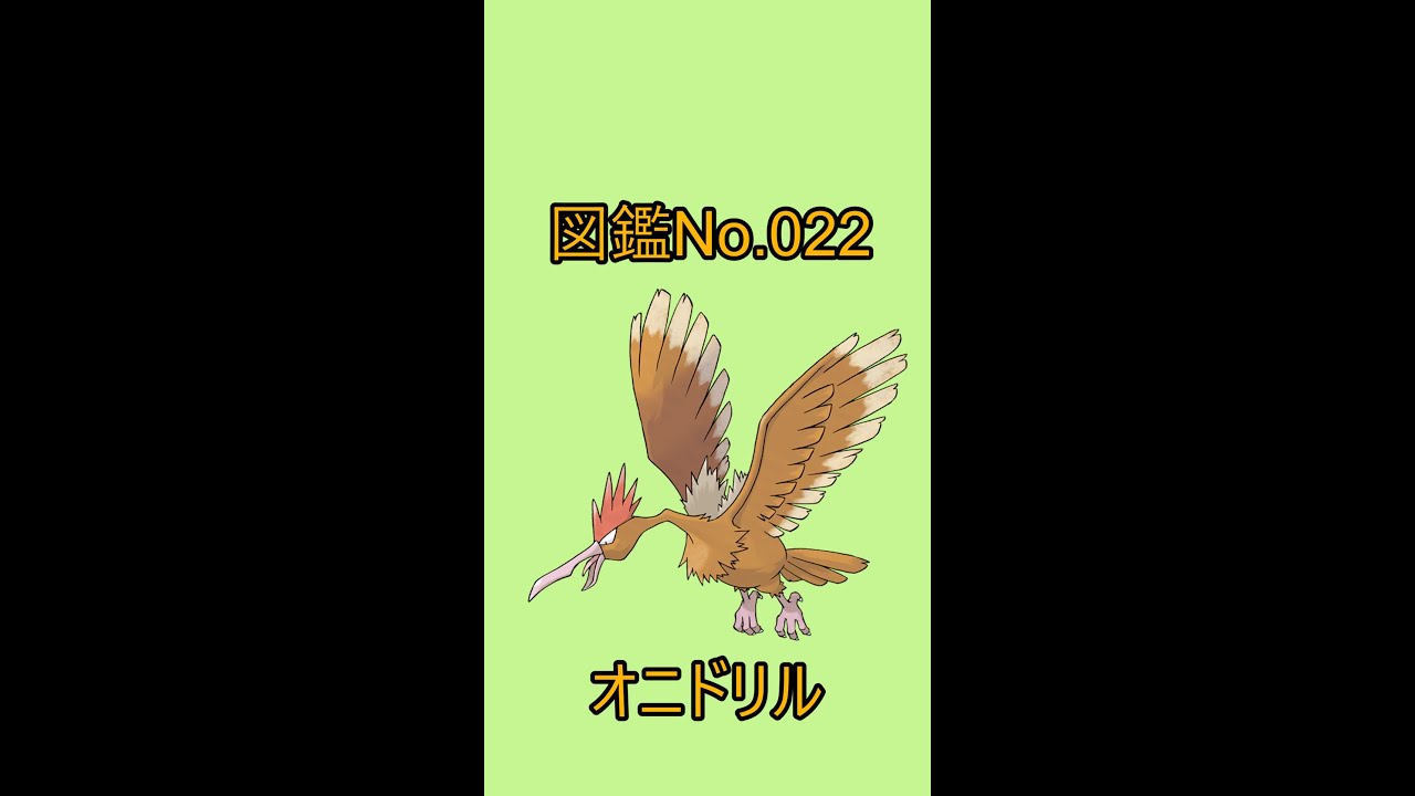 【ポケットモンスター】ポケモン図鑑じっくり解析シリーズ！ーNo.022オニドリルー#Shorts
