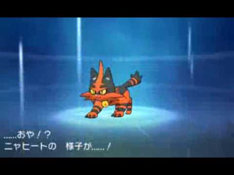 ポケットモンスターサンムーン ニャヒート進化【ガオガエン】