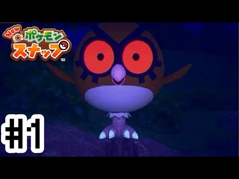 線対称のホーホーが撮り放題【Newポケモンスナップ】#1