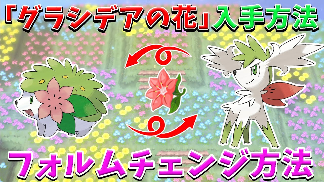『グラシデアの花』の入手方法とフォルムチェンジ方法を最速で解説！【ポケモンBDSP/ダイパリメイク】