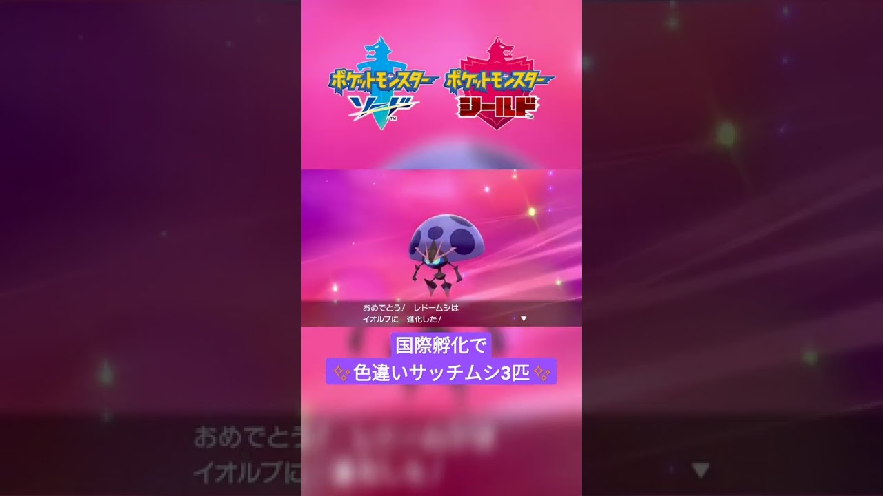 【ポケモン剣盾】色違いサッチムシ3匹ゲット♪ #shorts
