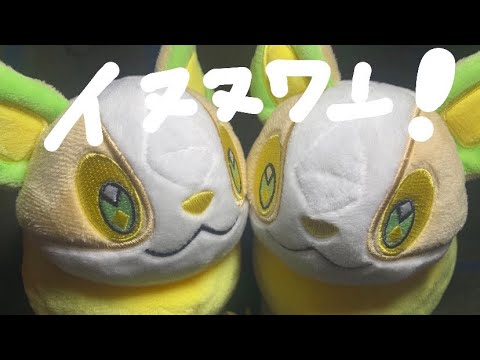 【イヌヌワン】2匹のワンパチと共に生きる