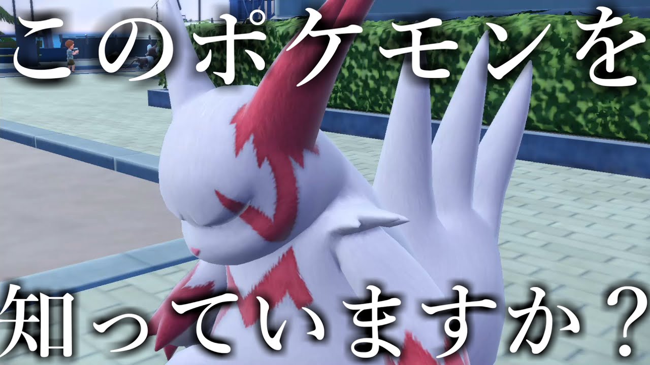 誰も知らないザングースというポケモン、実はとんでもない力を秘めています。【ポケモンSV】