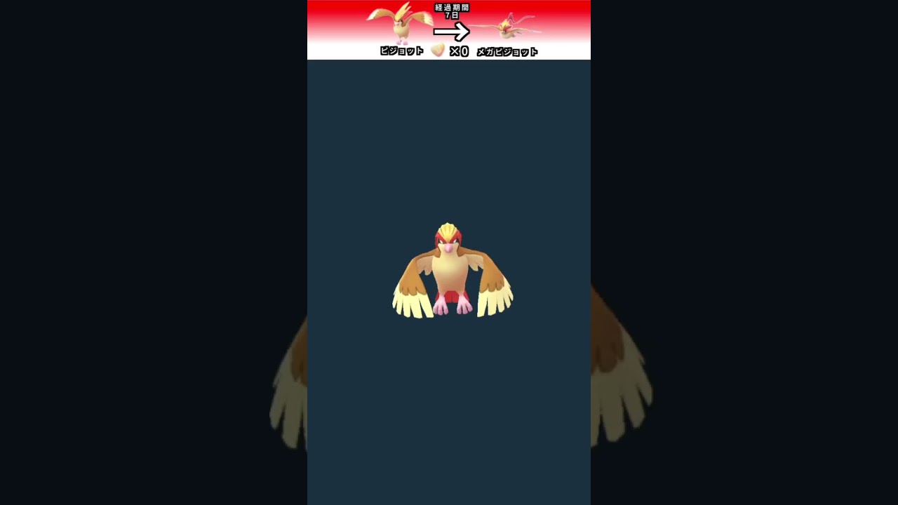 ポケモンGO 「ピジョット　メガ進化(2回目)」　＃ポケモンGO ＃ポケモン　＃メガ進化
