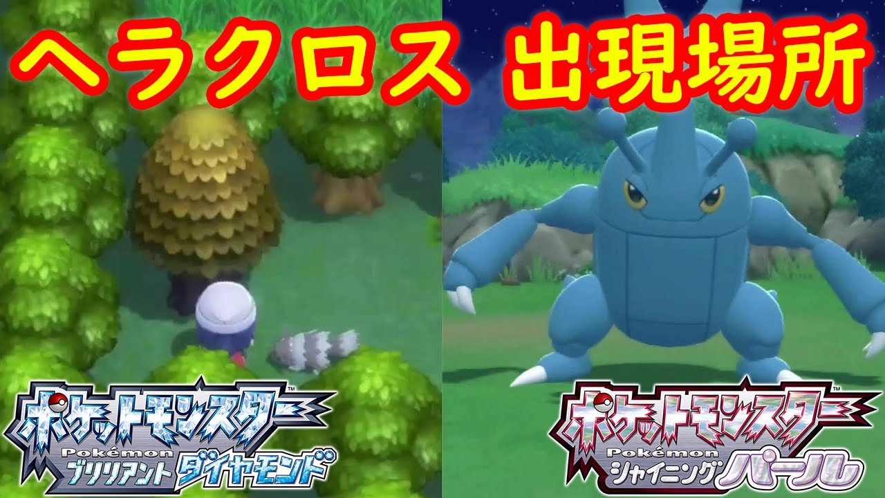 【ヘラクロス】出現場所 入手方法 攻略  【ポケモン ダイパリメイク ポケモン ブリリアントダイヤモンド・シャイニングパール】