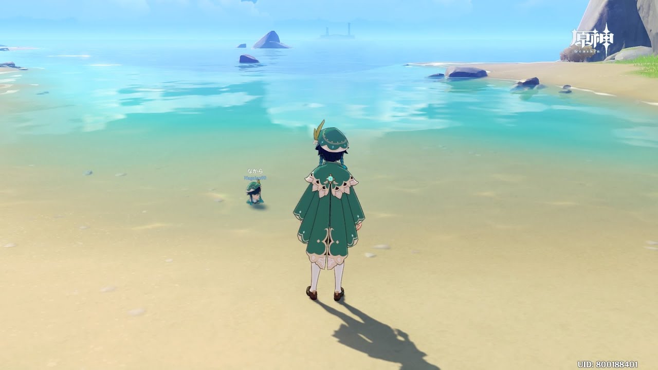 原神 チーター ドゴーム参上