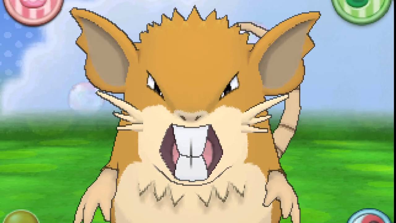 ポケパルレ　ラッタと戯れるだけの動画