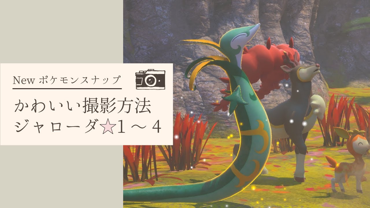 【Newポケモンスナップ】ジャローダ★1～4