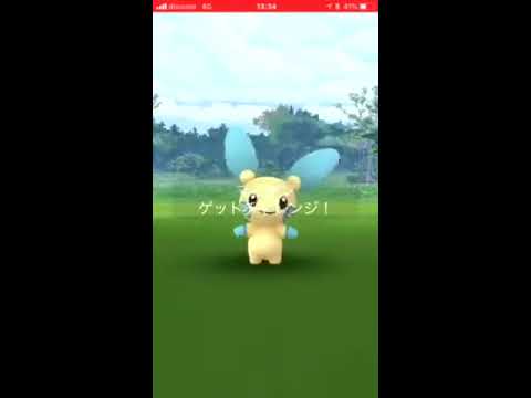 【ポケモンGO】可愛いマイナンレイド