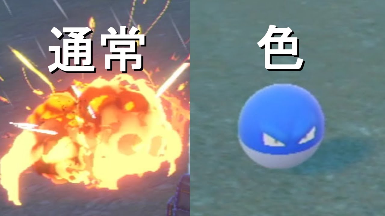 野生の色ビリリダマはフィールド上で爆発する？(ポケモンSV日記 5日目 (12月15日))