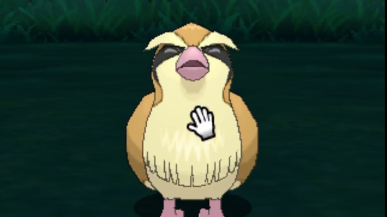 ポケリフレ　ポッポと戯れるだけの動画