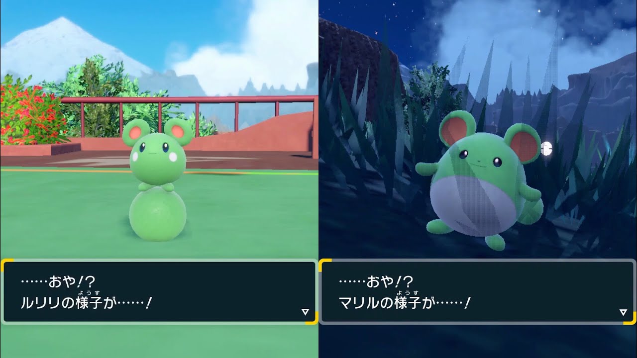 【色違い】SVで初GETした色違いルリリが遂に進化！最終進化のマリルリに全世界悶絶！！！