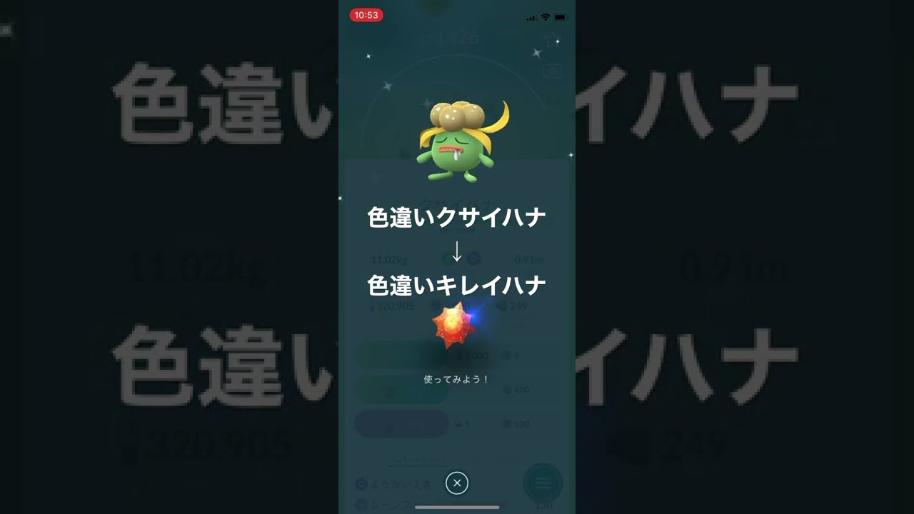 ポケモンGO 色違いクサイハナを色違いキレイハナへ進化！