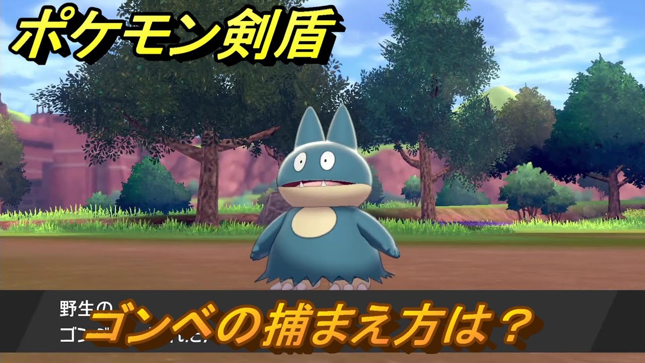 ポケモン剣盾　ゴンベを捕まえる方法！オススメの場所は？天気は？ポケモン図鑑コンプへの道！　最新版【ポケモンソード・シールド】
