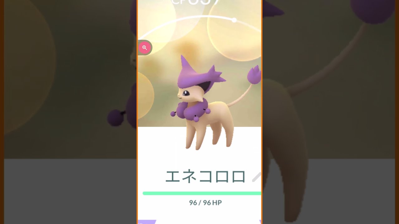 ＃shorts◇野生で出現 エネコロロ＃306