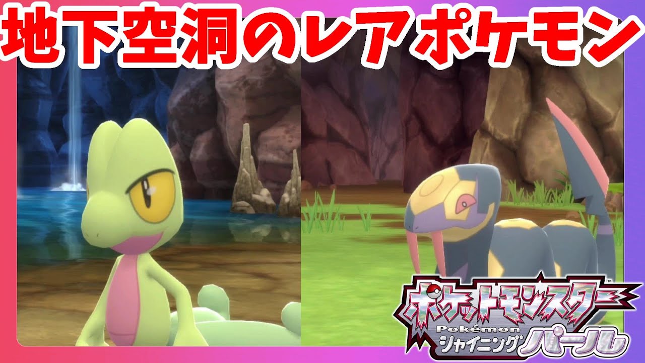 過去作の御三家きたー！キモリゲットだぜ！【ダイパリメイク】ポケモンシャイニングパール