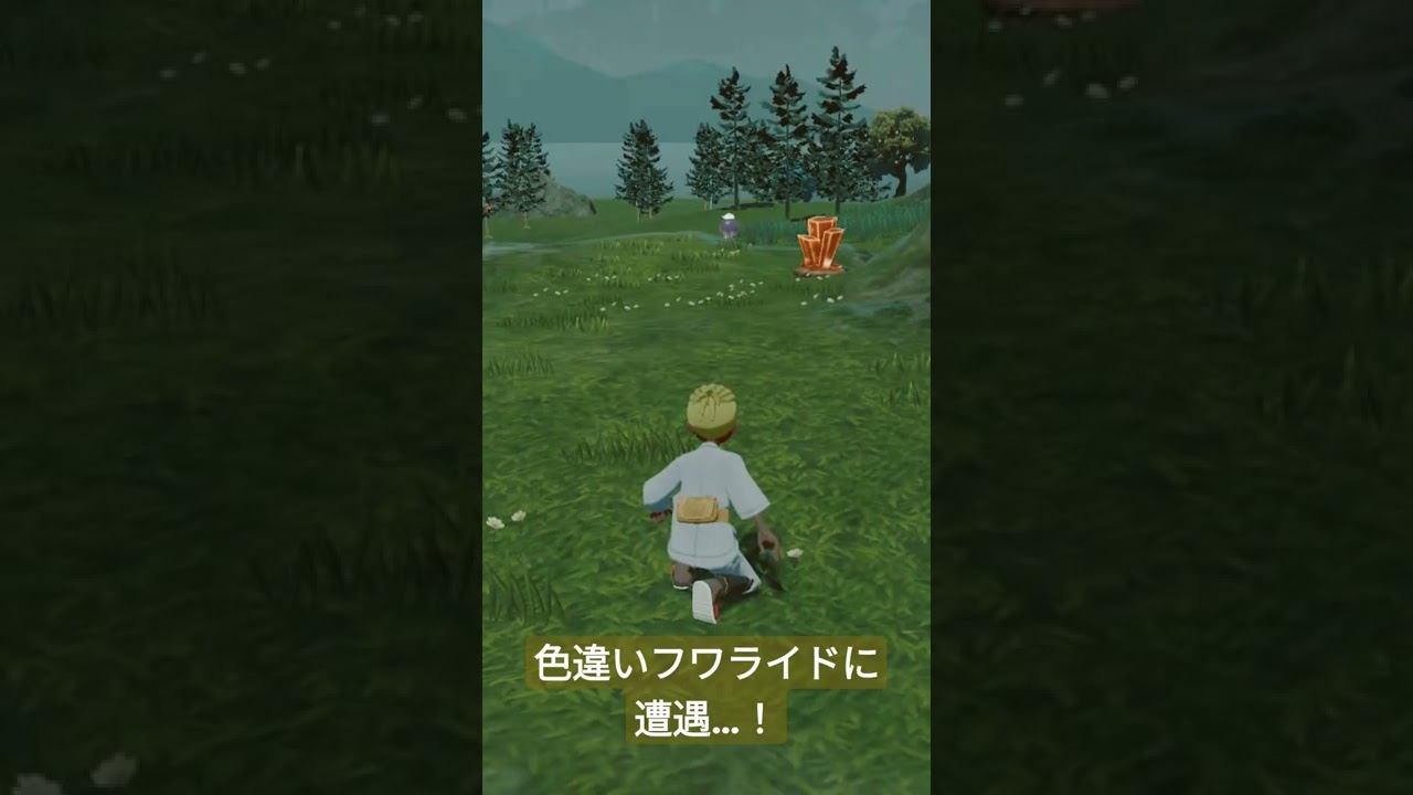 色違いフワライドに遭遇！