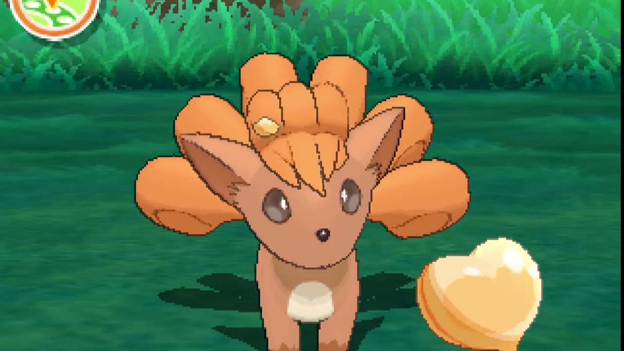 ポケリフレ　ロコンと戯れるだけの動画