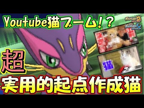 猫ブーム!？汎用性抜群のレパルダス！【ポケモンUSUM】