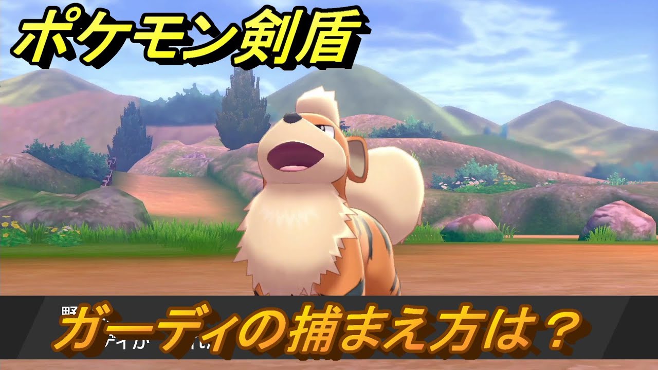 ポケモン剣盾　ガーディを捕まえる方法！オススメの場所は？天気は？ポケモン図鑑コンプへの道！　最新版【ポケモンソード・シールド】