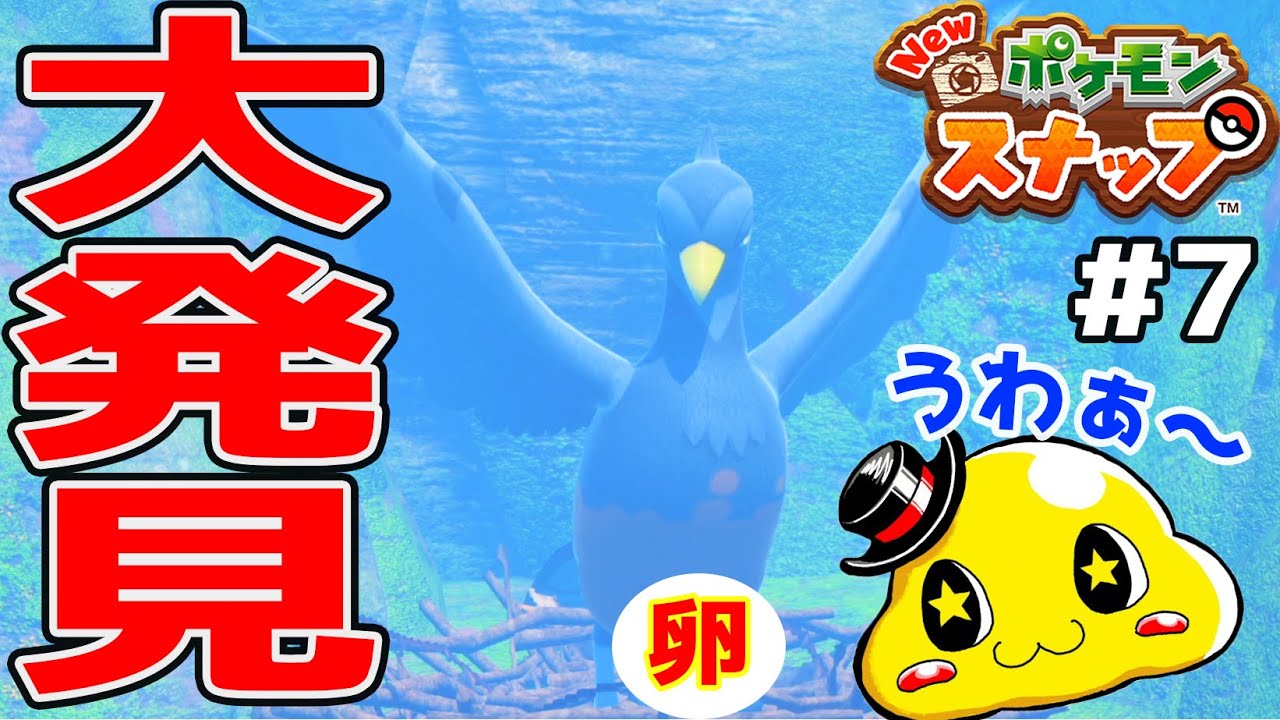 #7【野生ポケモンの卵を発見しました】ヤンチャムとダーテングの大特訓！【火山&樹海で撮影だ！】Newポケモンスナップ実況