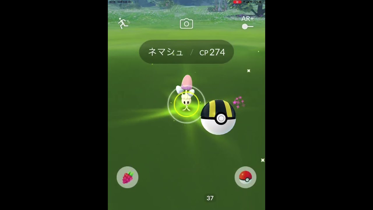 ポケモンGO ネマシュ　PokémonGO