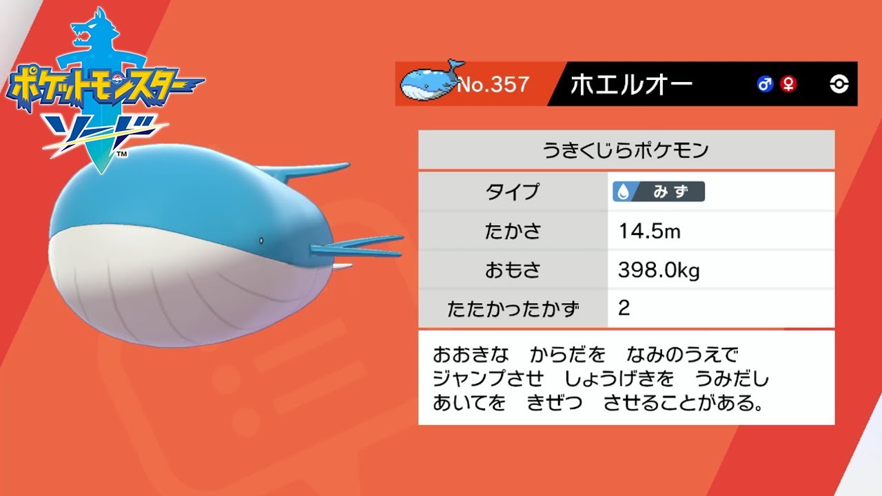 【ポケモン剣盾】野生ポケモン ホエルオーを入手 9番道路【ポケットモンスターソード・シールド】