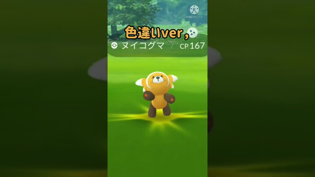 ヌイコグマのジタバタが可愛すぎる❤️😍【ポケモンGO】#shorts
