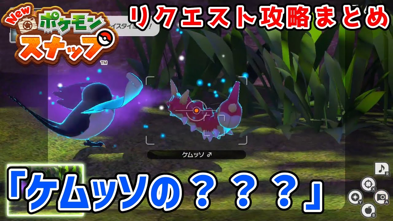 リクエスト攻略「ケムッソの？？？」【Newポケモンスナップ】