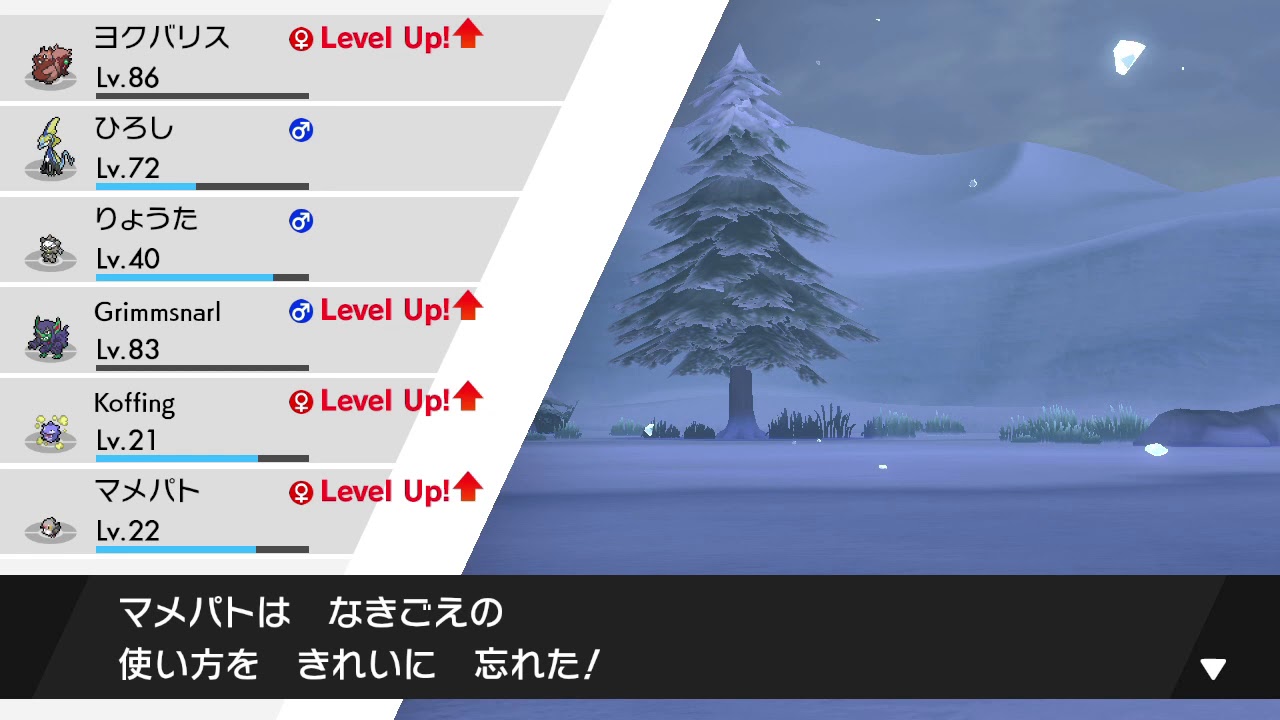ポケットモンスターソード　マメパトからハトーボーに進化