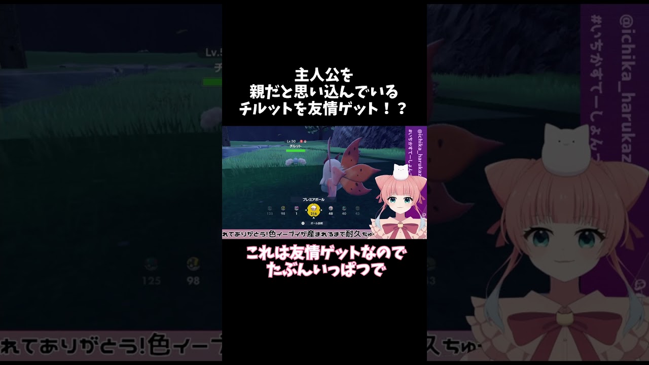 【ポケモンSV】主人公を親だと思い込んでいるチルットが最高にかわいい【切り抜き/#shorts 】