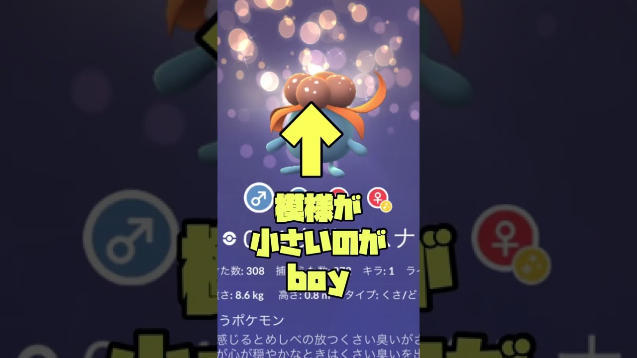 クサイハナのオスメス見分け方！