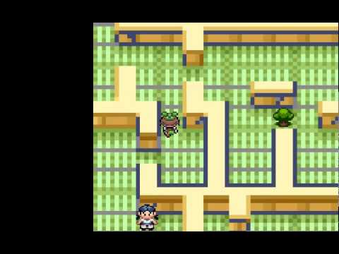 【ポケモン縛り】愛犬ポチエナ（グラエナ）とホウエン地方を制覇の旅 Part.7【ゆっくり有】