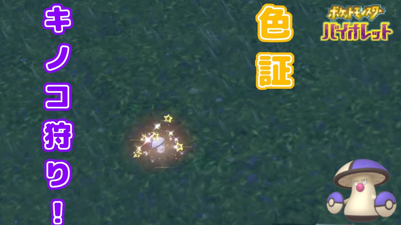 [ポケモンSV] 30分で色違い4体！？色証タマゲタケを狙え！