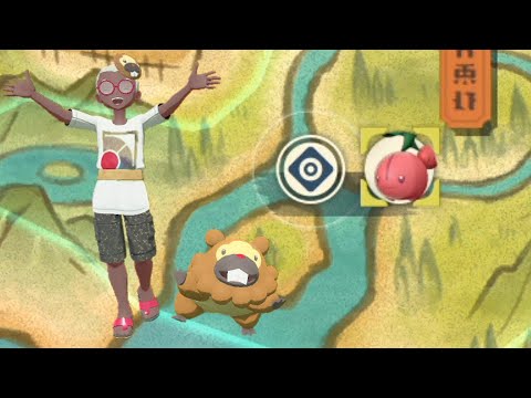 チェリンボの大量発生がきた！＃19【ビッパとPokémon LEGENDS アルセウス】