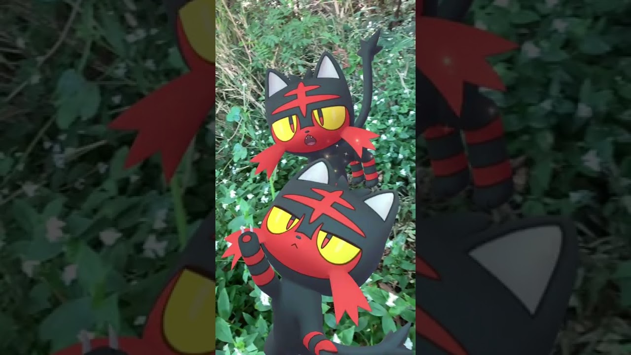 ニャビー｜Litten｜フォトボム｜GOphotobomb【ポケモンGO】AR動画｜PoKeMoN GO AR｜#Shorts