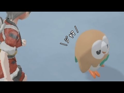 戦うモクローの邪魔をする