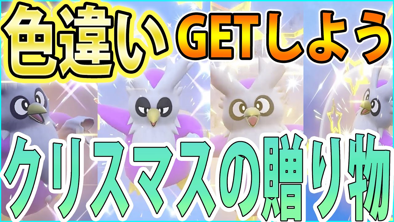 【誰でも出来る】色違いデリバードを簡単GET！色厳選の方法も紹介します！【ポケモンSV】