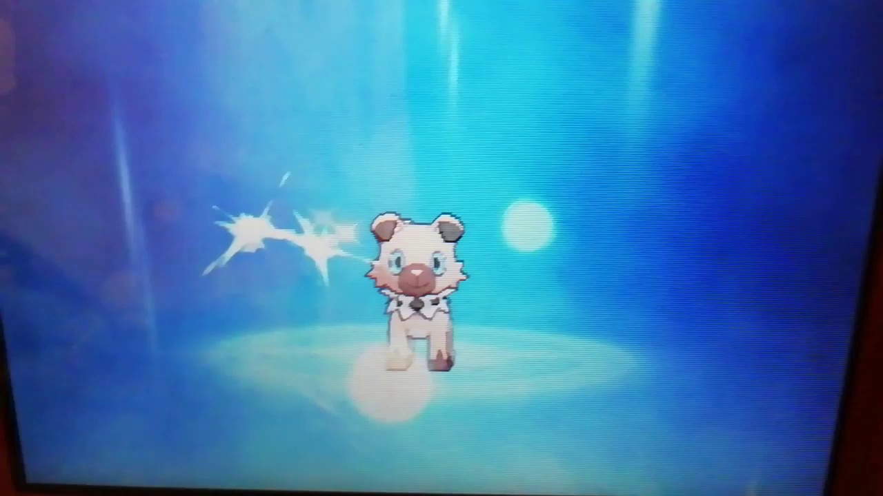 【ポケモンサン&ムーン】イワンコ進化