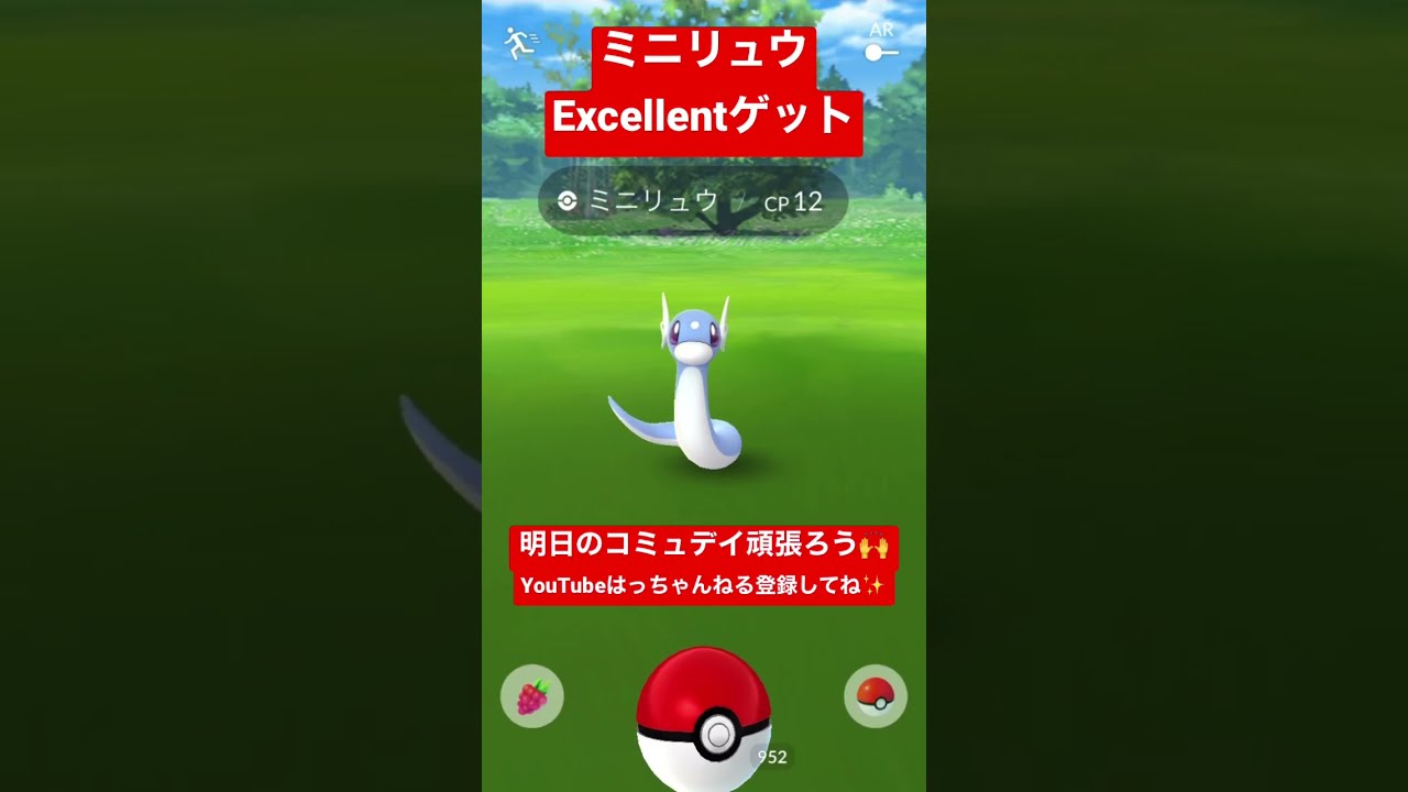 ミニリュウをエクセレントGETしてXPを稼ぐ【ポケモンGO】