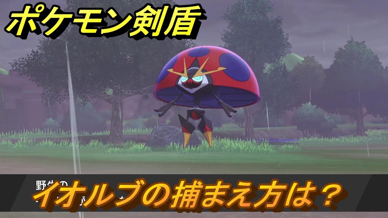 ポケモン剣盾　イオルブを捕まえる方法！オススメの場所は？天気は？ポケモン図鑑コンプへの道！　最新版【ポケモンソード・シールド】