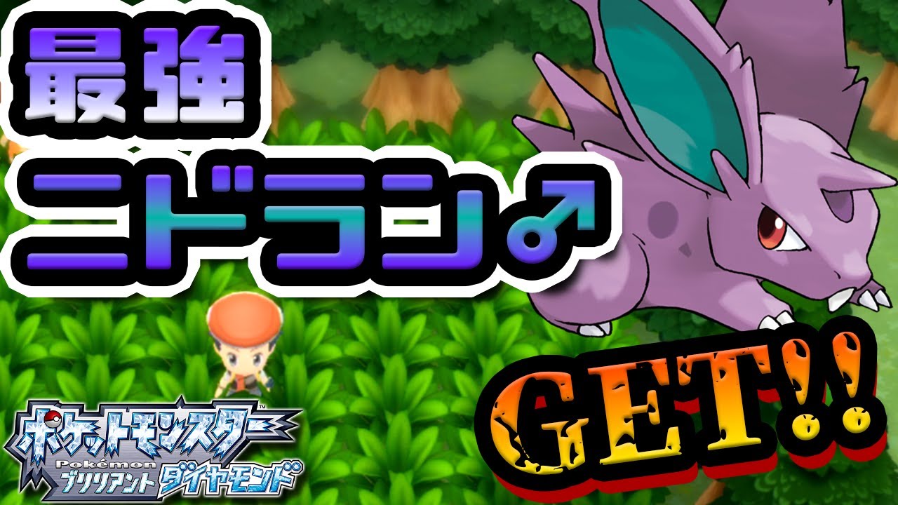 【ダイパリメイク】最好最強ニドキングを作る。 #39【ポケモン ブリリアントダイヤモンド】