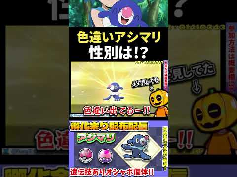 【ポケモン剣盾】激レア!? 憧れの女の子色違いアシレーヌGETを目指してアシマリを色違い厳選していたら…!?【色違い厳選】【色違いポケモン】【配信切り抜き】#Shorts