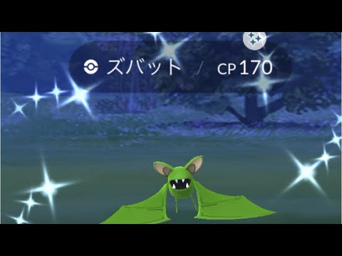 ポケモンGO 色違いズバット出現！色違いゴルバット、色違いクロバットへ進化！