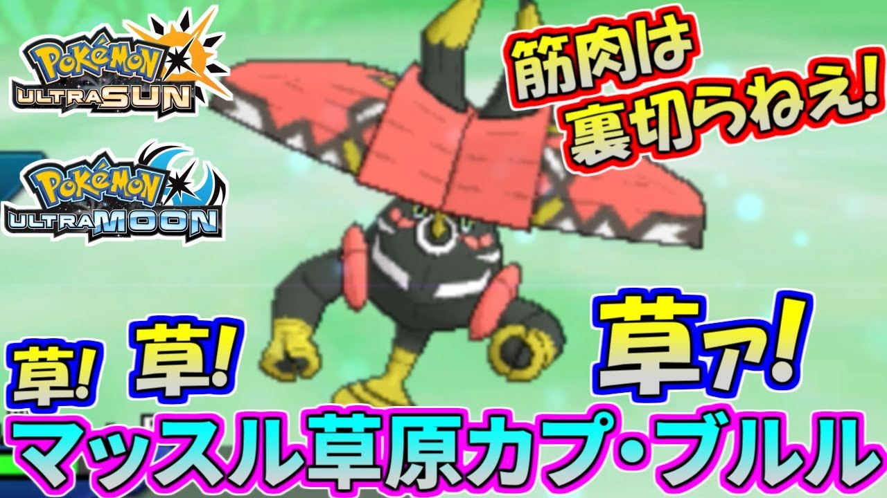 【ポケモンUSUM】信じるは己の筋肉のみ!カプ・ブルルが強すぎて草ァ!【ウルトラサン/ウルトラムーン】