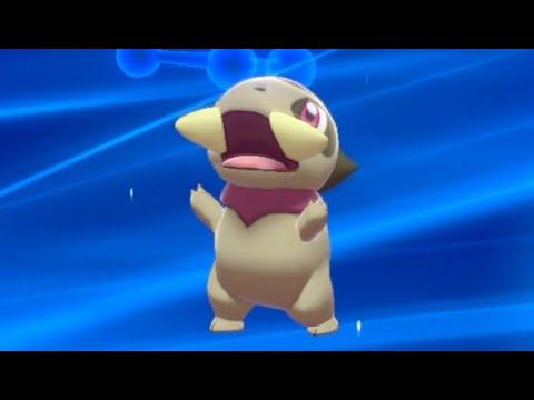 もちまるより可愛いポケモン日記「キバゴ→オノンド→オノノクス」Pokemonswordshield ShinyPokémon