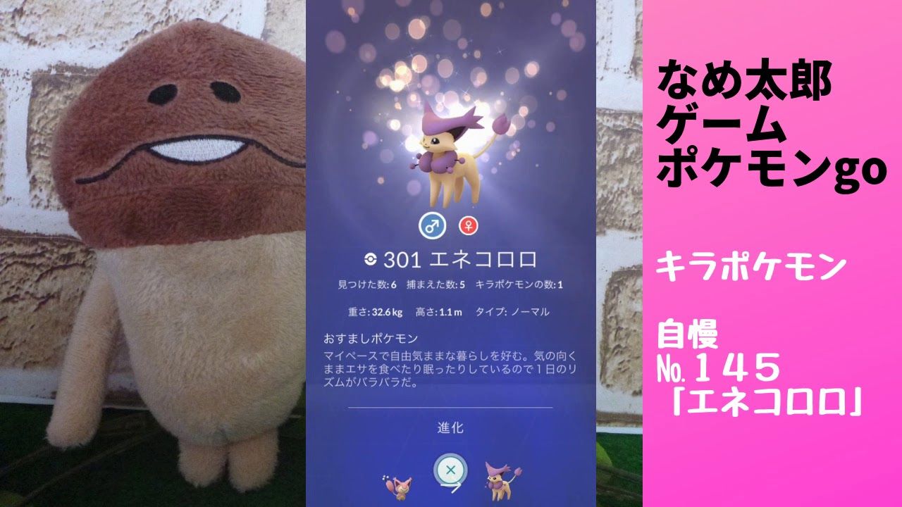 なめ太郎のキラポケモン自慢コーナーナンバー１４５、「エネコロロ」【ポケモンgo】
