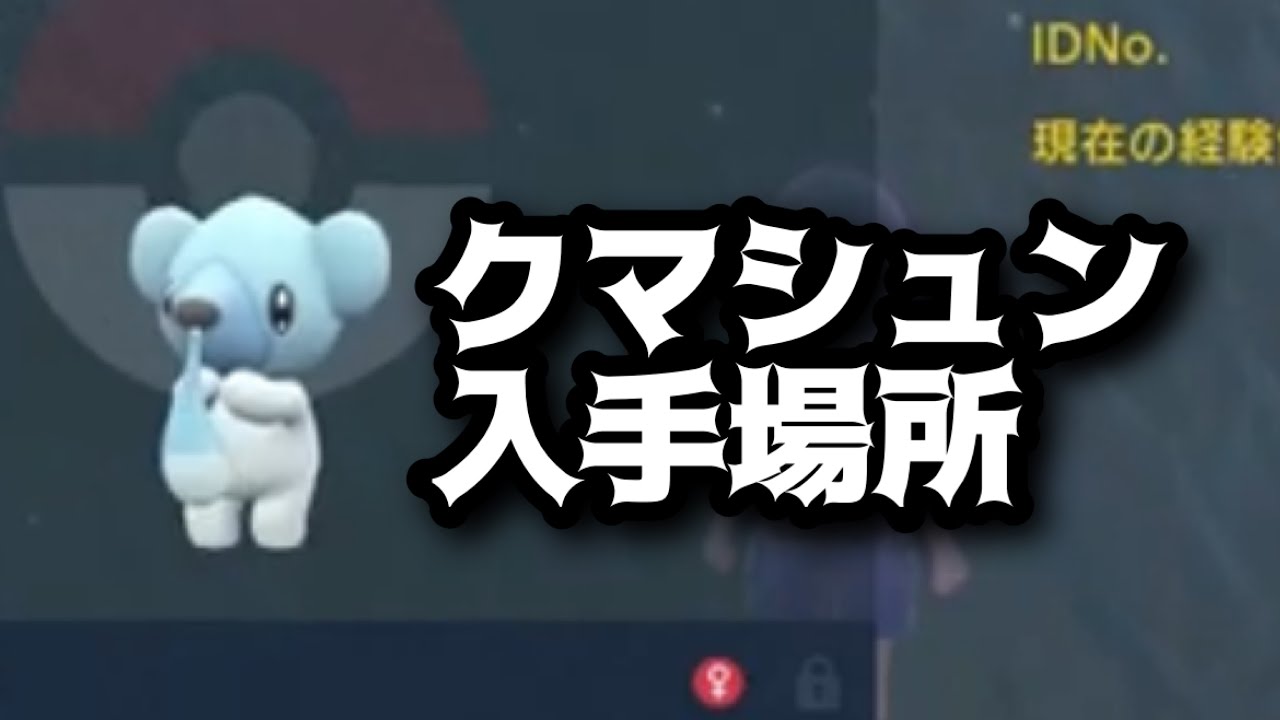 【SV】【速報】クマシュン入手場所