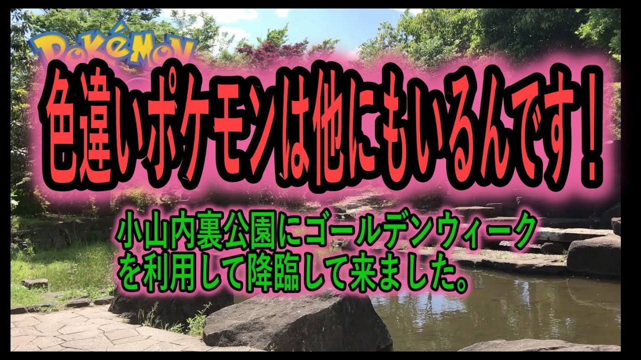 色違いマクノシタとアサナンの次はこの色違いだ！【ポケモンGO】